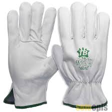 Cowhide grain leather glove T: 9