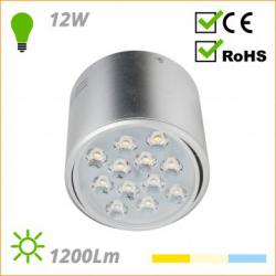 LED Surface Downlight HO-DOWNSUP12W-A-CW