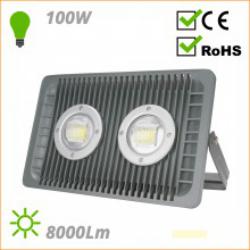 Outdoor LED Projector Low Angle MG-PLAR100W-W